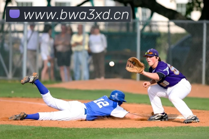 星空链接官网平台生态图